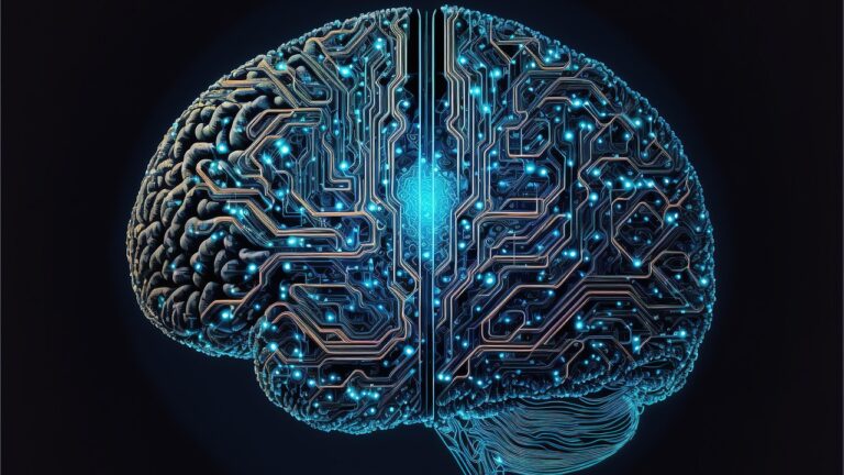 cyber brain, computer, brain, the internet, web3, 0, blockchain, cyber, artificial intelligence, brain, brain, brain, brain, brain, artificial intelligence, artificial intelligence, artificial intelligence, artificial intelligence